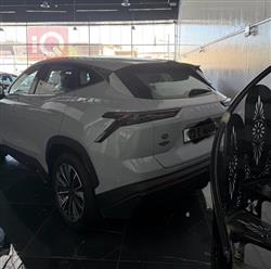 جیتۆر داشينگ